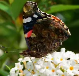 DSC_0016.webp