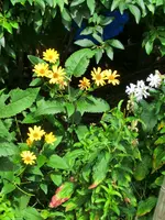 CIMG9079.webp