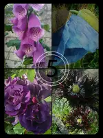 tmp_23961-PicsArt_1402209485428-514039852.webp
