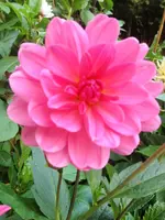 image.webp