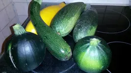 25555555555563245111111111111 164.webp