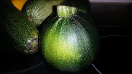 25555555555563245111111111111 165.webp