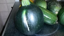 25555555555563245111111111111 166.webp