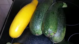 25555555555563245111111111111 167.webp