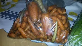 25555555555563245111111111111 169.webp