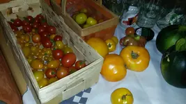 25555555555563245111111111111 170.webp