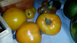 25555555555563245111111111111 171.webp