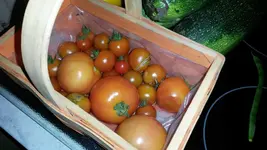 25555555555563245111111111111 172.webp