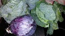 25555555555563245111111111111 176.webp