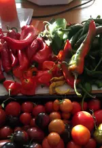 Paprika.webp
