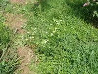 k-P1080088.webp