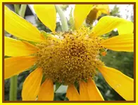 024.webp