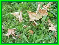 099.webp
