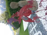 20140908_182753.webp