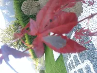 20140908_182804.webp