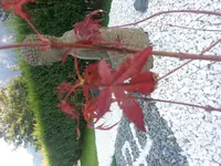 20140908_182810.webp