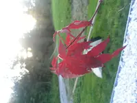 20140908_183015.webp