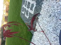 20140908_183035.webp