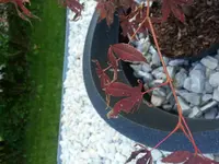 20140908_183102.webp