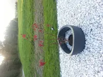20140908_183143.webp