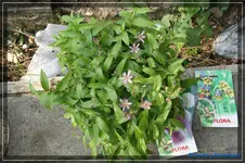 comp_DSC02221.webp