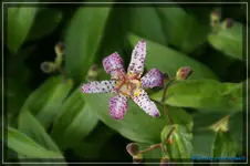 comp_DSC02222.webp