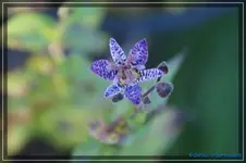 comp_DSC02226.webp