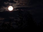 0002_Vollmond 09-09-2014.JPG