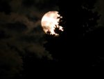 0005_Vollmond 09-09-2014.JPG