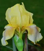 DSC_0015.webp
