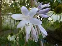 P1190660.webp