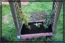 comp_DSC02229.webp
