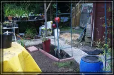 comp_DSC02230.webp