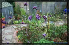 comp_DSC02236.webp
