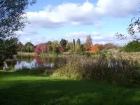 PICT0005.webp