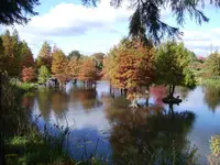 PICT0008.webp