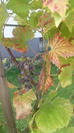 20140906_122558.webp