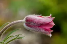 Stg 14-09-04-3464.webp