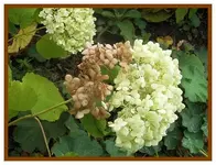 046.webp
