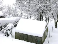 P1030430.webp