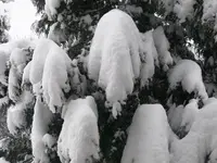 P1030436.webp
