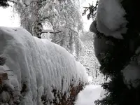 P1030460.webp