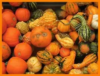 102.webp
