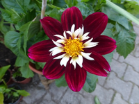 P1190727.webp