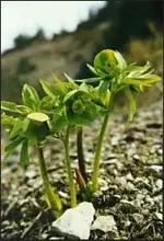 bild_14.webp