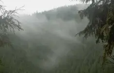 Schmuddelwetter 6.09 (12).webp