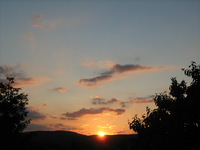 IMG_1863.webp