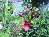 DSC03798.webp