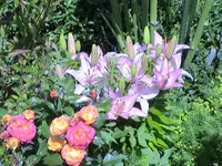 DSC03799.webp