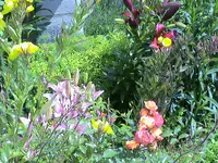 DSC03800.webp
